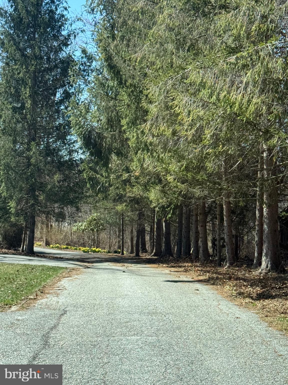 Falls Road Sparks, MD 21152 - Photo 4 of 10 a view of outdoor space with trees