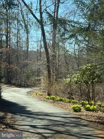 a view of a yard on the side of a road