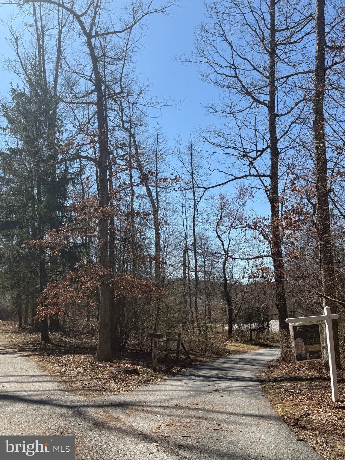 Falls Road Sparks, MD 21152 - Photo 6 of 10 a view of a yard on the side of a road