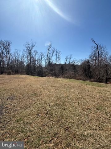 a view of a yard with large trees