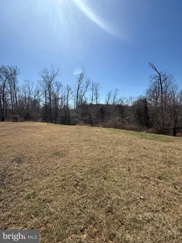 a view of a yard with large trees