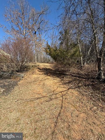 a view of large yard