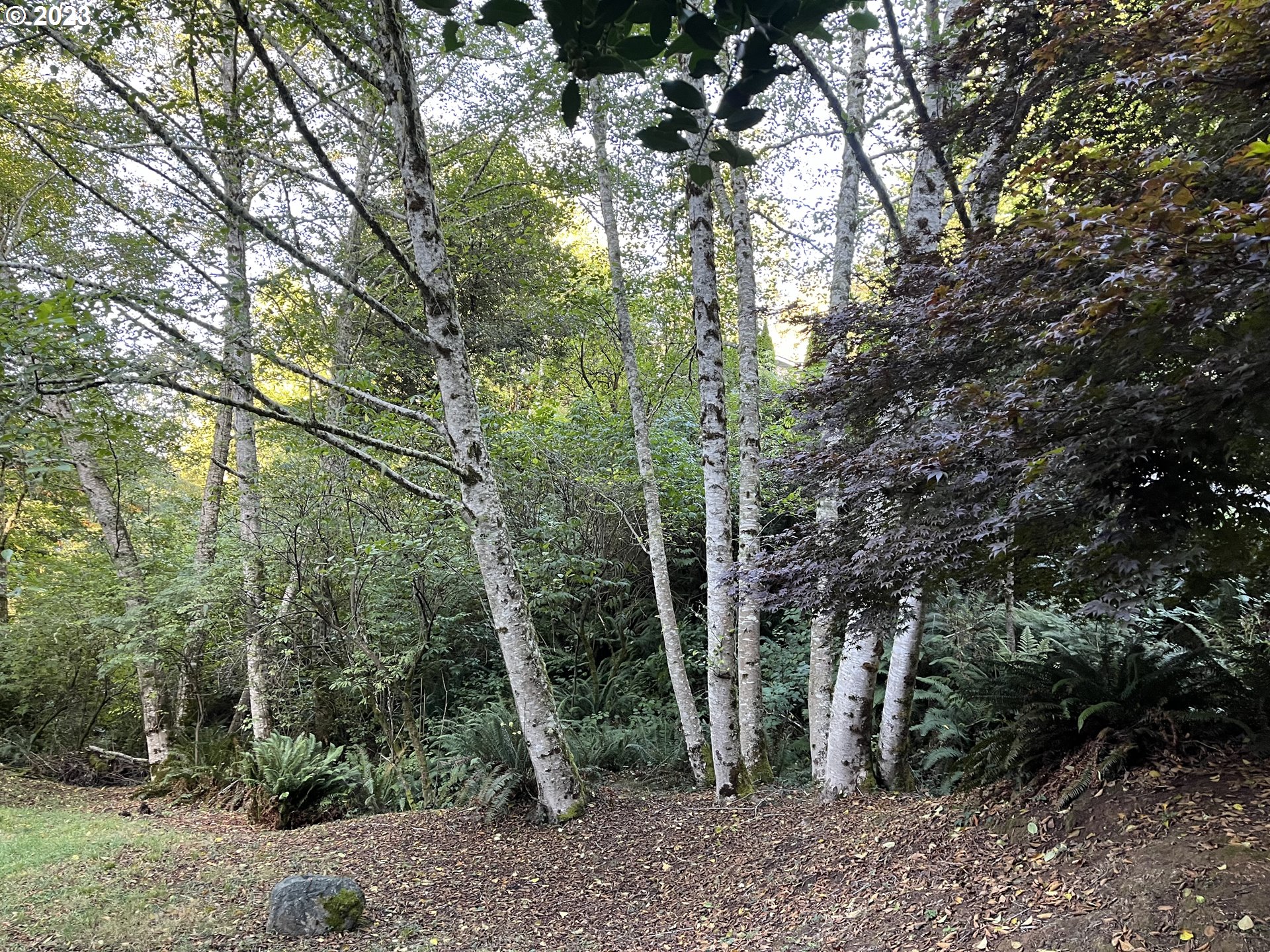 16996 Old County Road Brookings, OR 97415 - Photo 21 of 22 Gallery Image 21