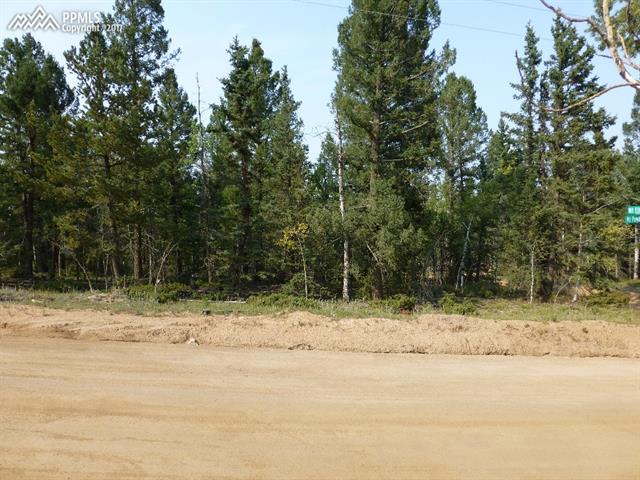15 Mt Elbert Road Florissant, CO 80816 - Photo 2 of 8 Gallery Image 2