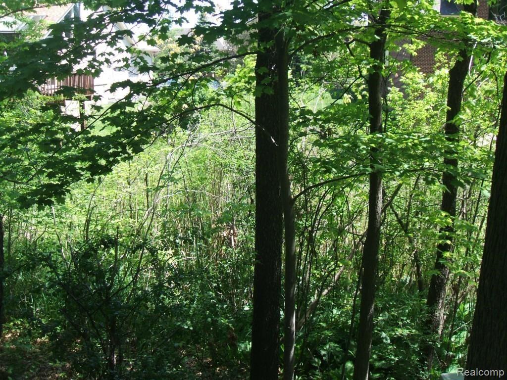 4375 Echo Road Bloomfield Hills, MI 48302 - Photo 39 of 40 Wooded Views