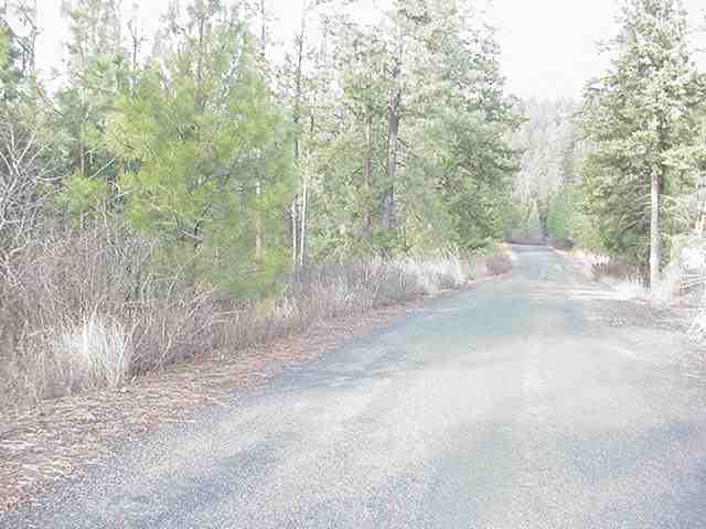 0 North Timbercrest Lane Mead, WA 99021 - Photo 1 of 5 Gallery Image 1