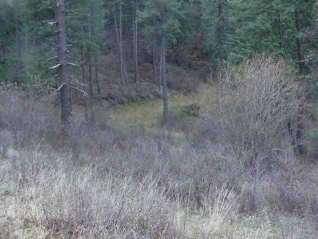 0 North Timbercrest Lane Mead, WA 99021 - Photo 2 of 5 Gallery Image 2