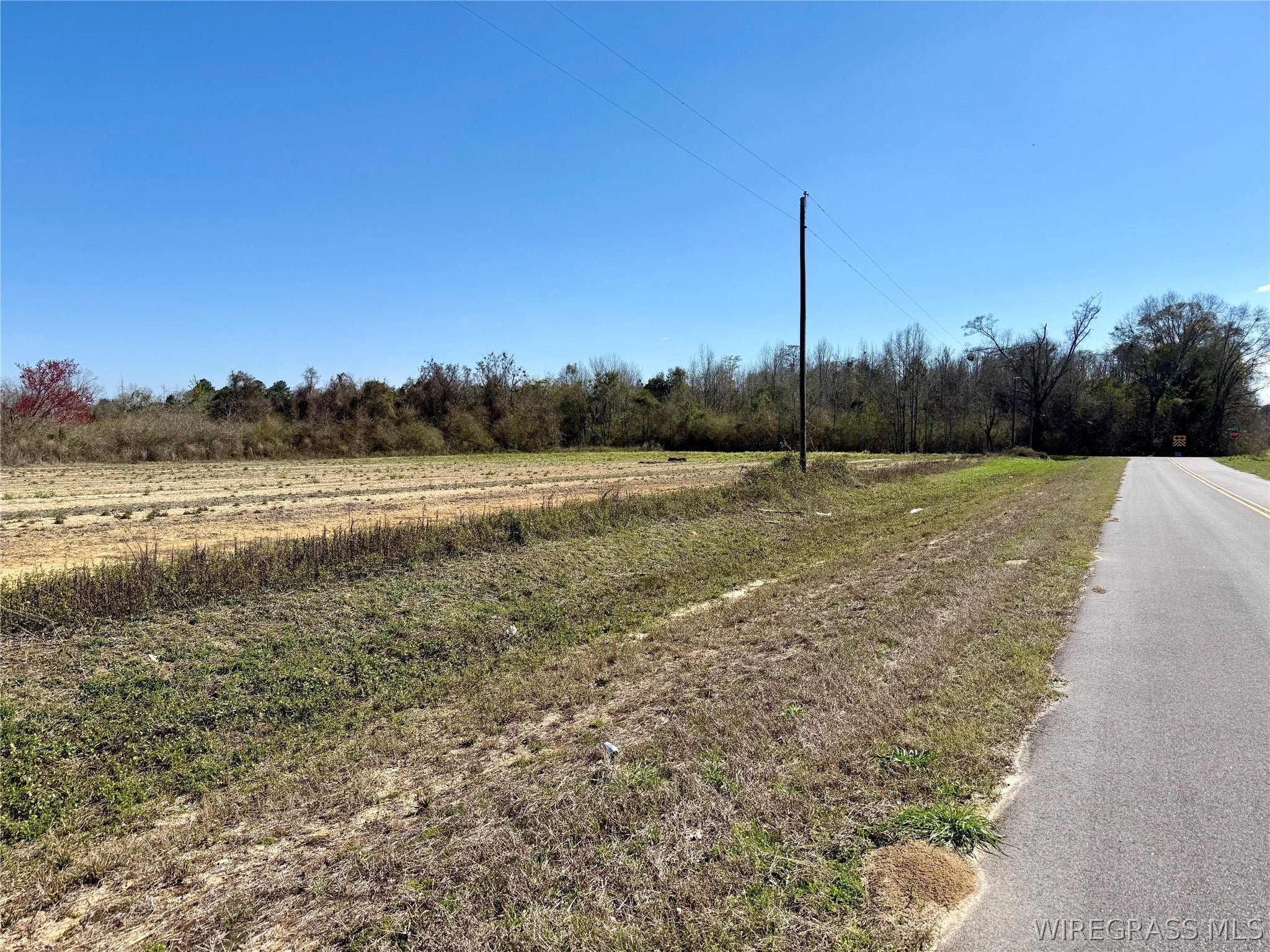 2.5-acres Garrett Road Ashford, AL 36312 - Photo 2 of 9 Gallery Image 2