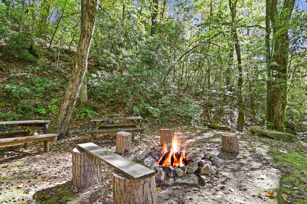 669 Little Rock Creek Road Cherry Log, GA 30522 - Photo 31 of 40 Gallery Image 31