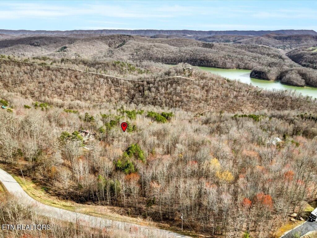 Lot 553 Whistle Valley Road New Tazewell, TN 37825 - Photo 19 of 29 Lot 553 Whistle Valley Rd - 19