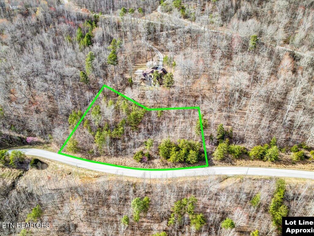 Lot 553 Whistle Valley Road New Tazewell, TN 37825 - Photo 5 of 29 Lot 553 Whistle Valley Rd - 5