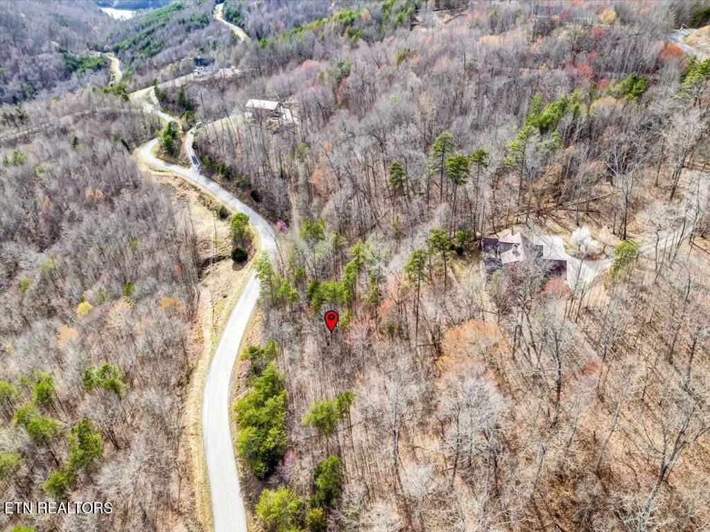 Lot 553 Whistle Valley Road New Tazewell, TN 37825 - Photo 7 of 29 Lot 553 Whistle Valley Rd - 7