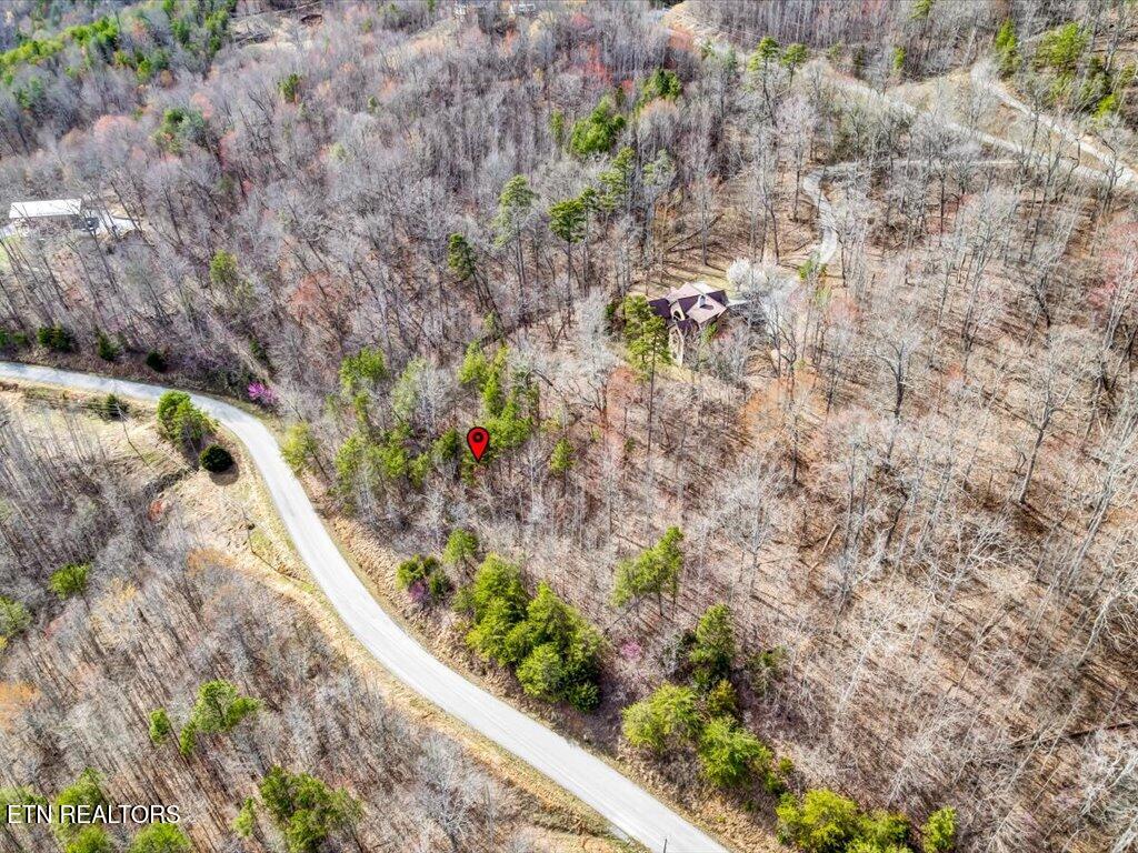Lot 553 Whistle Valley Road New Tazewell, TN 37825 - Photo 8 of 29 Lot 553 Whistle Valley Rd - 8