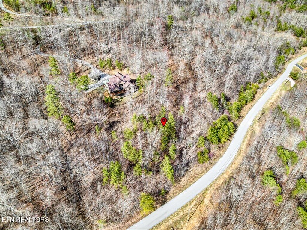 Lot 553 Whistle Valley Road New Tazewell, TN 37825 - Photo 9 of 29 Lot 553 Whistle Valley Rd - 9