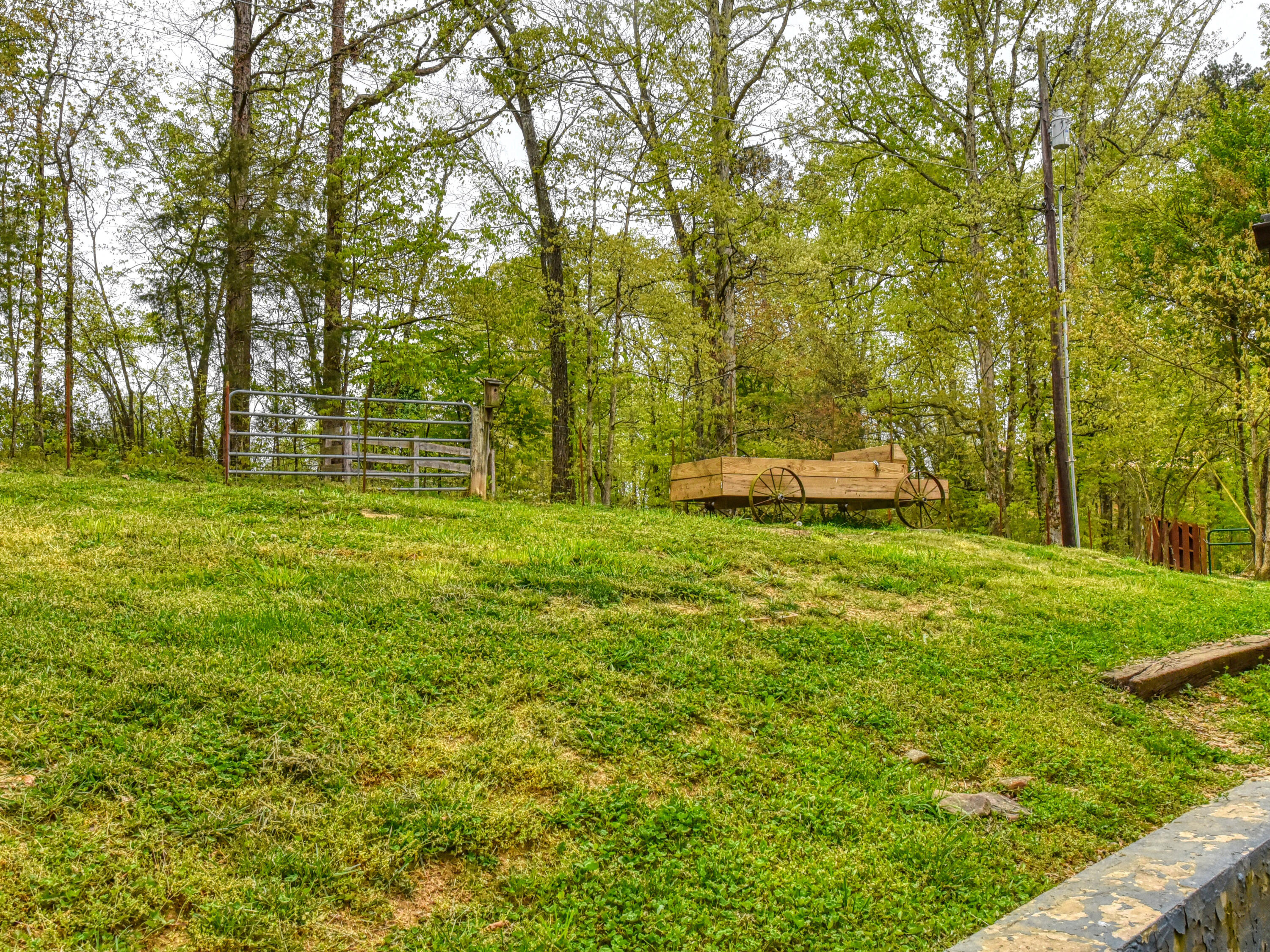 575 Adams Road Walland, TN 37886 - Photo 33 of 37 575 Adams Road