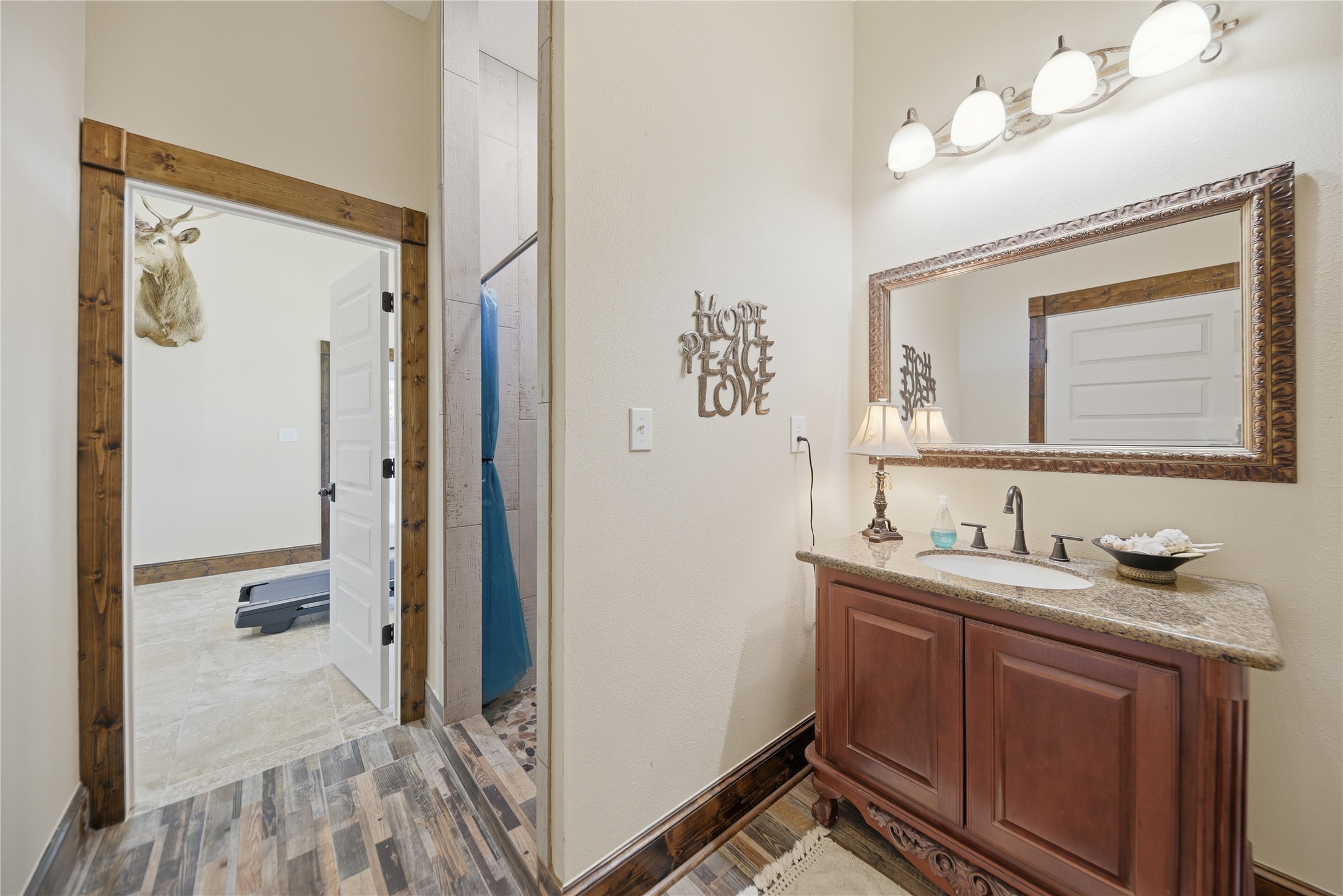 8595 Jared Road Bellville, TX 77418 - Photo 29 of 45 Secondary bathroom with large walk in closet