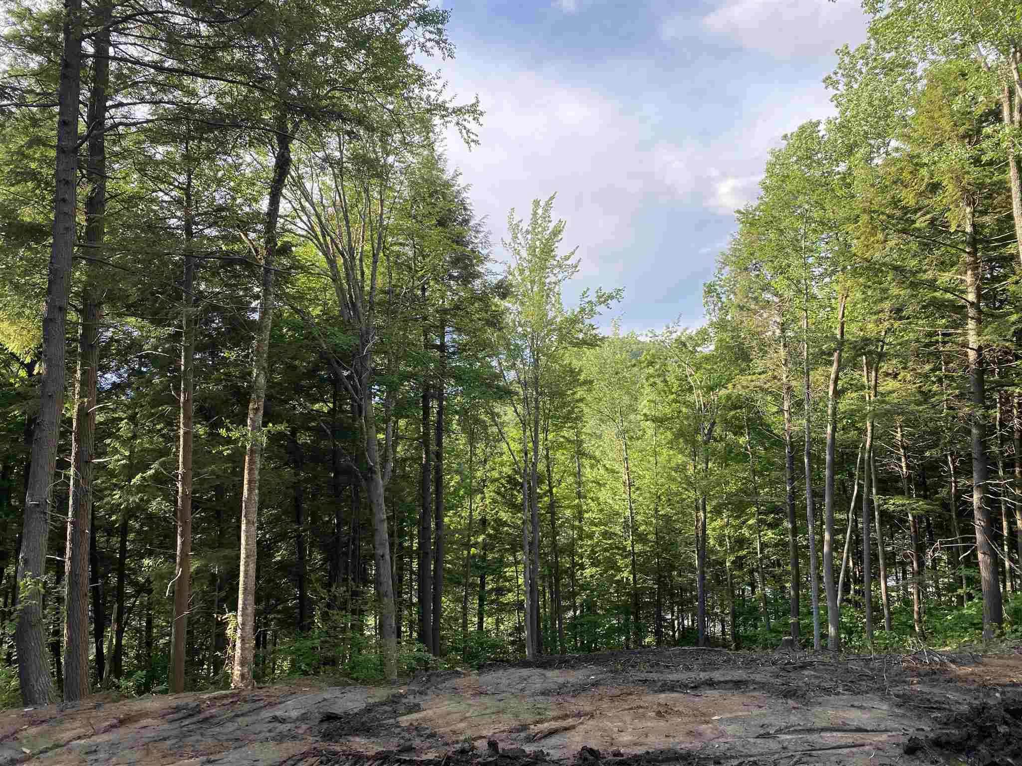 Cole Pond Road Jamaica, VT 05343 - Photo 2 of 11 Gallery Image 2