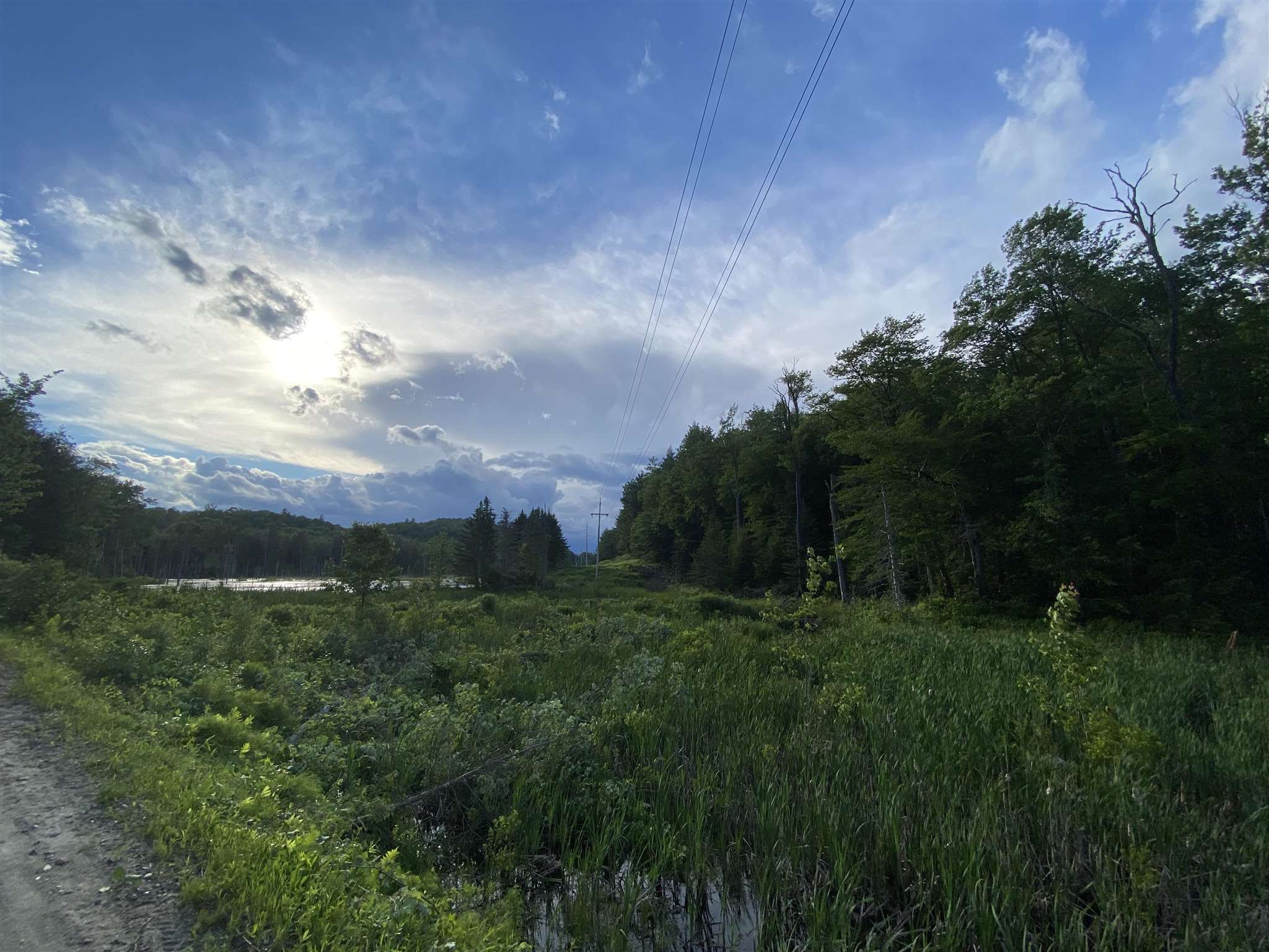 Cole Pond Road Jamaica, VT 05343 - Photo 4 of 11 Gallery Image 4