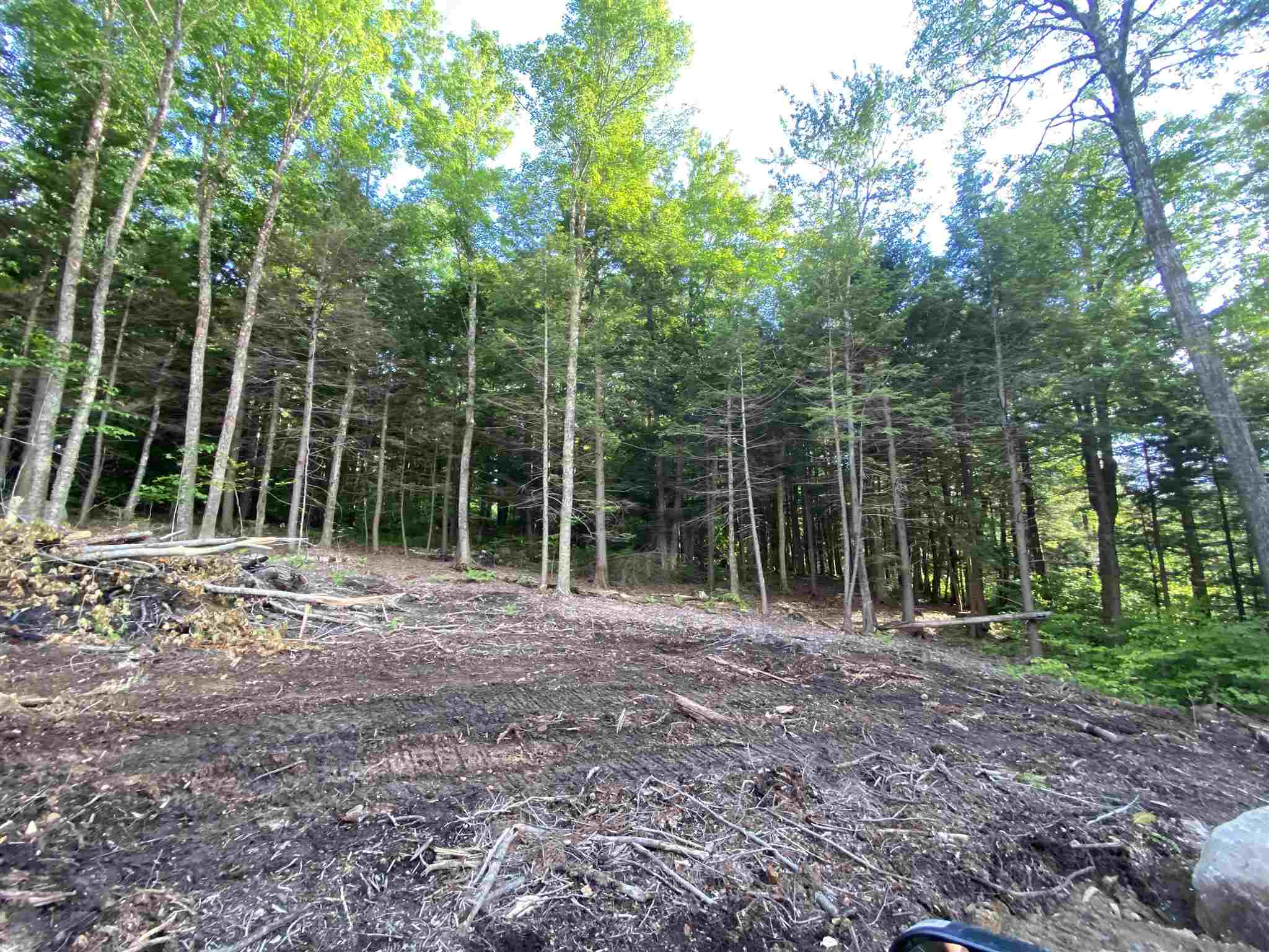 Cole Pond Road Jamaica, VT 05343 - Photo 5 of 11 Gallery Image 5