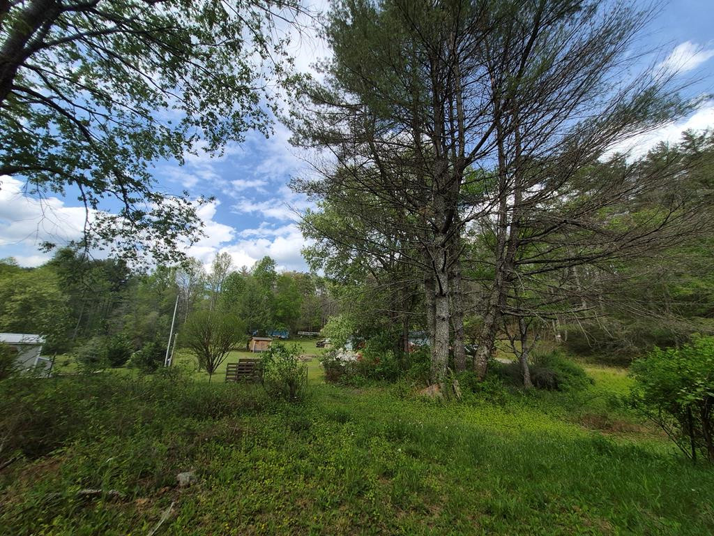 1132 Dockery Crk Road Murphy, NC 28906 - Photo 47 of 52 View at back yard