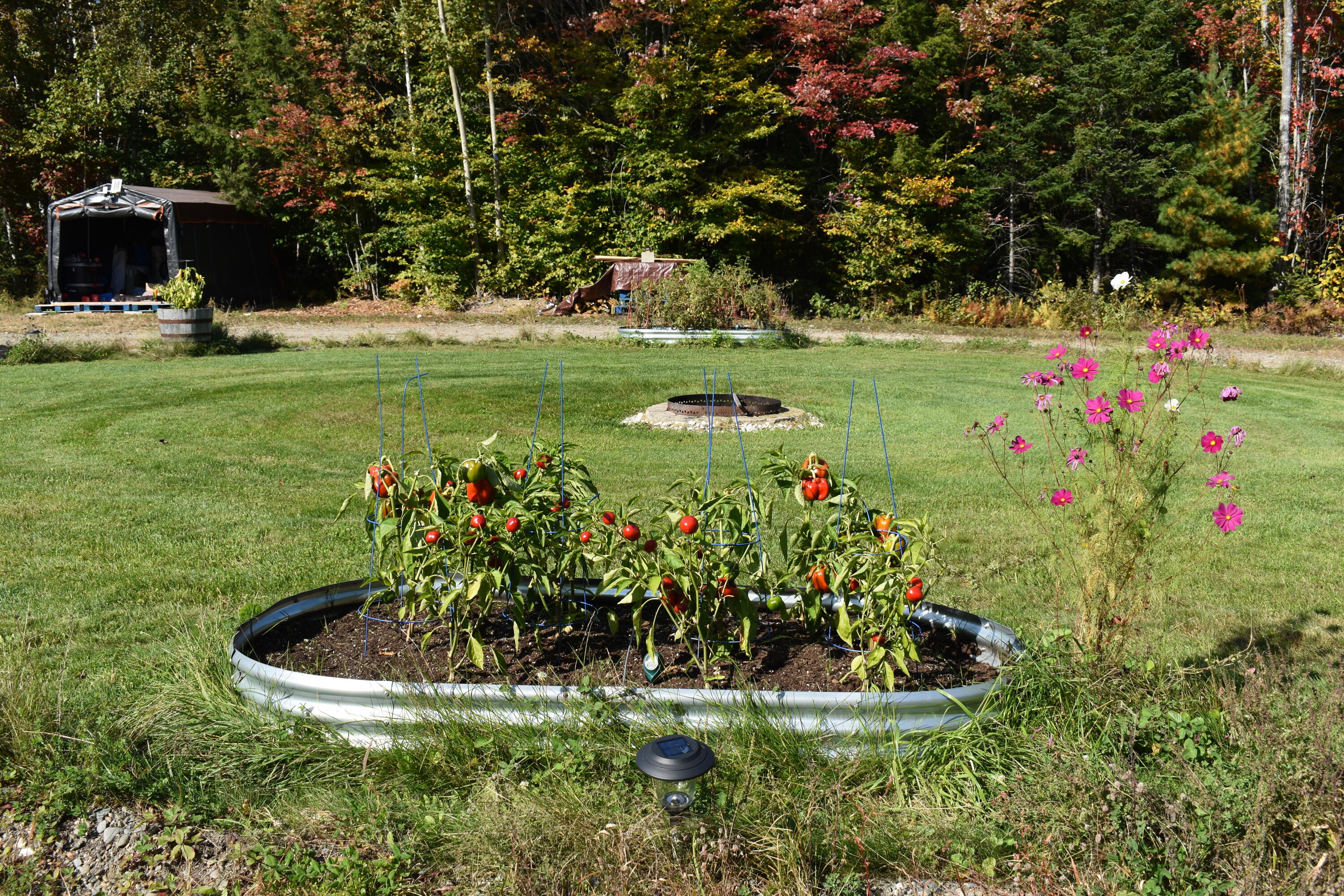 280 White Point Estates Road Lincoln, ME 04457 - Photo 34 of 38 DSC_0471