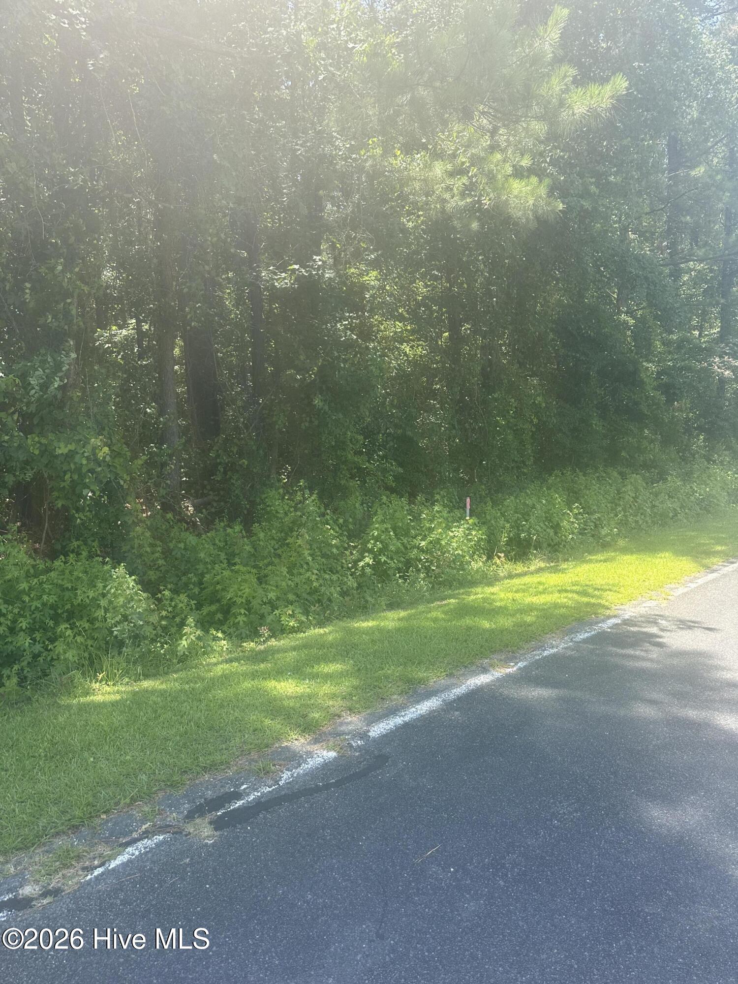 721 Joe Piver Road Chadbourn, NC 28431 - Photo 8 of 18