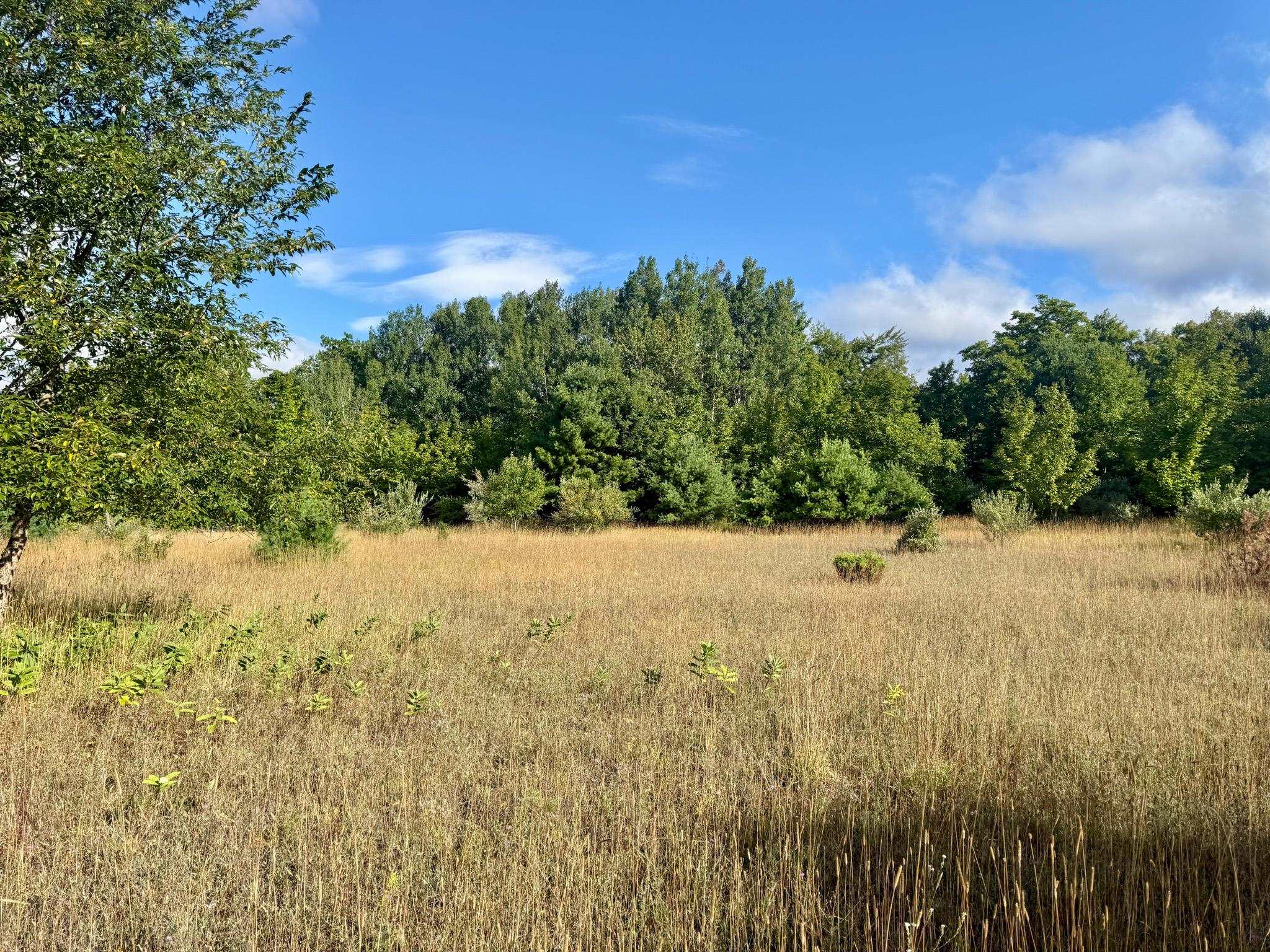 1 East Darga Road Cedar, MI 49621 - Photo 18 of 22 1949892-5182be9e-722e-4bc0-89f1-4d1511415de1.JPG