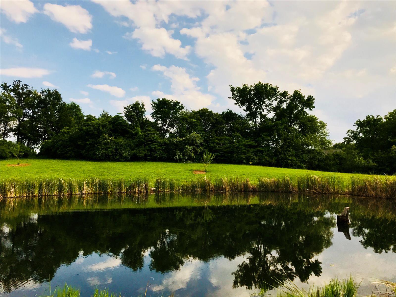 2205 Old Farm Road Millstadt, IL 62260 - Photo 1 of 12 Gallery Image 1