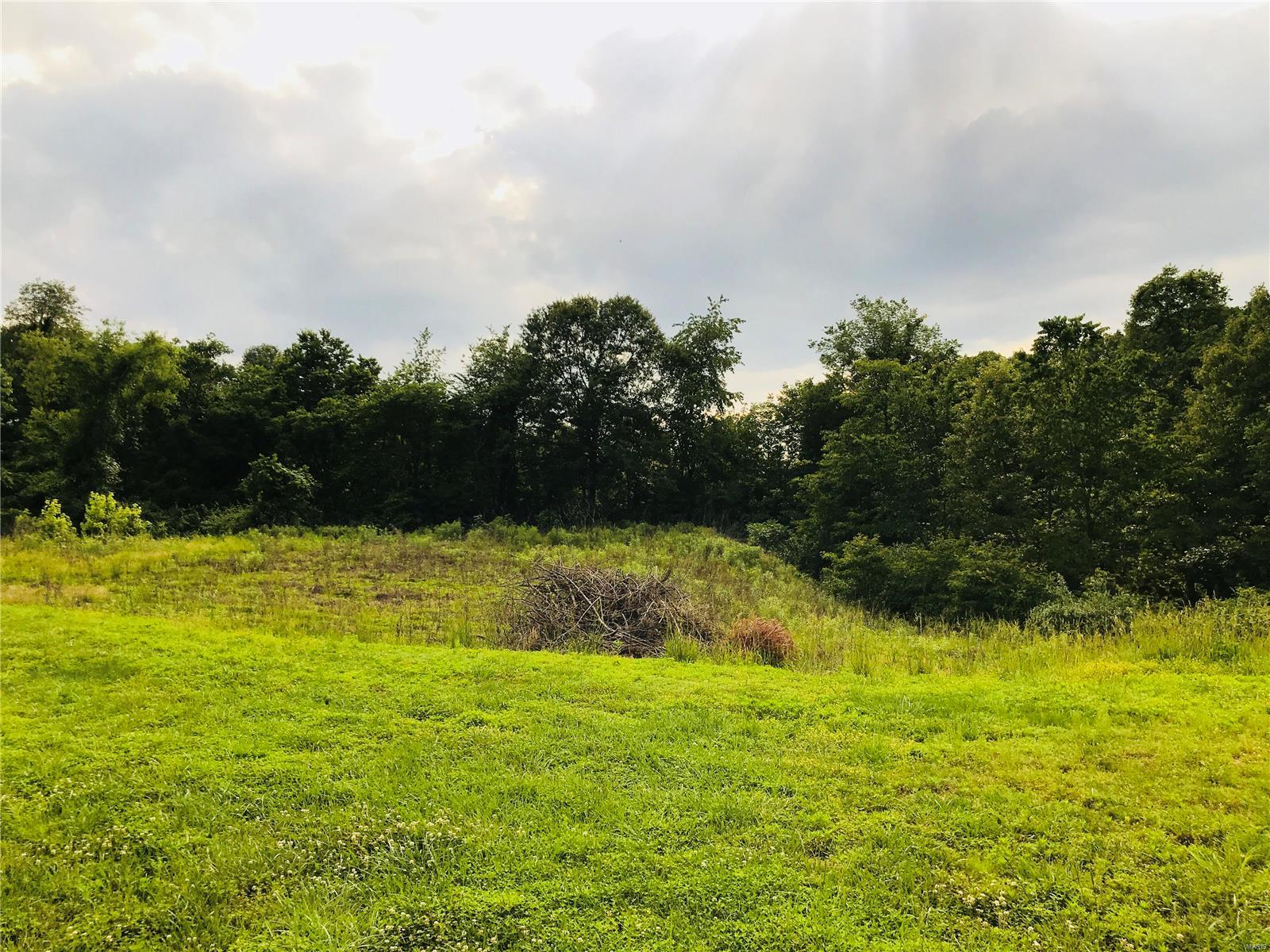 2205 Old Farm Road Millstadt, IL 62260 - Photo 11 of 12 Gallery Image 11