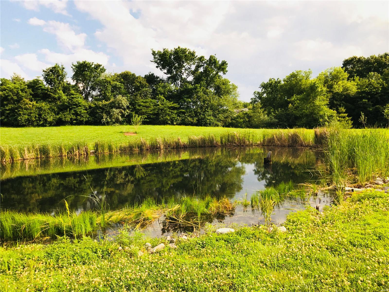 2205 Old Farm Road Millstadt, IL 62260 - Photo 12 of 12 Gallery Image 12