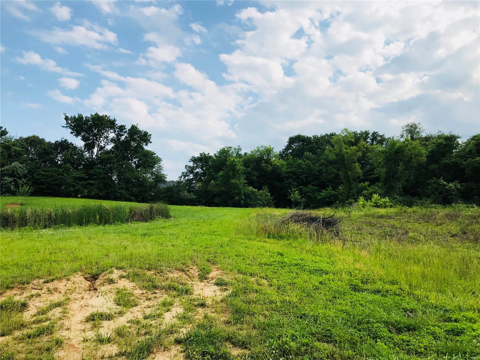 2205 Old Farm Road Millstadt, IL 62260 - Photo 7 of 12 Gallery Image 7