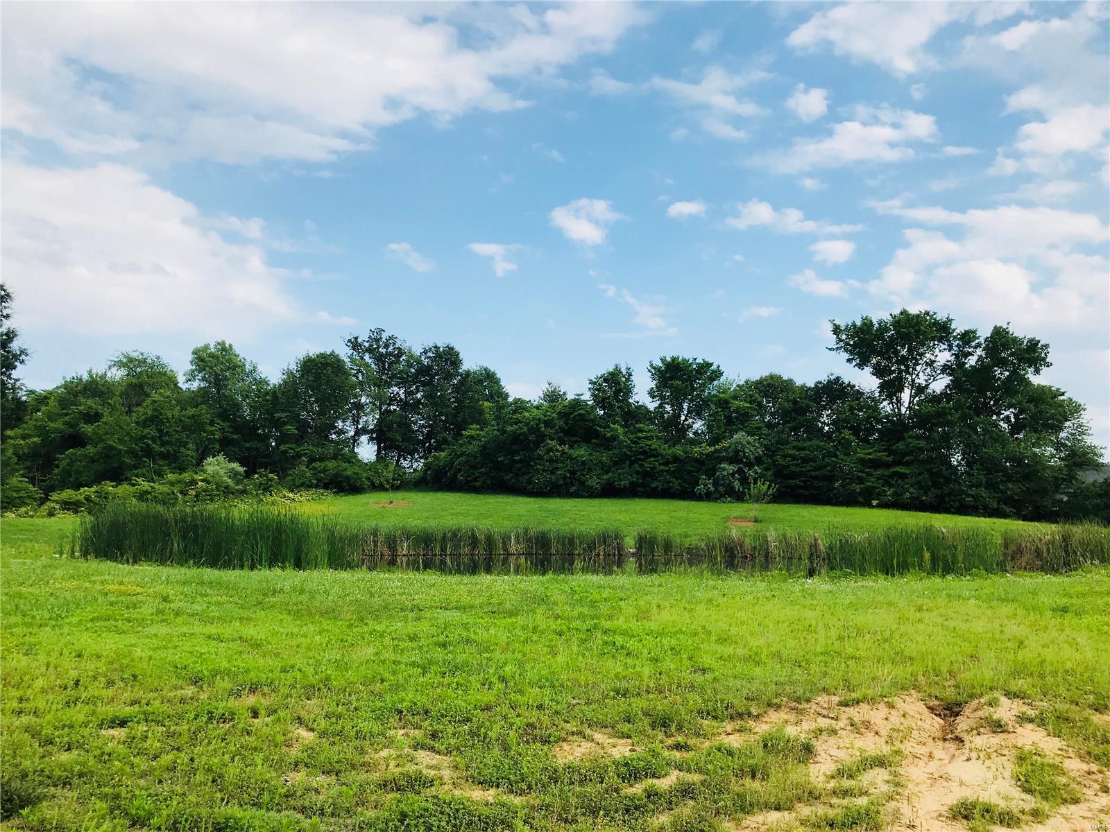 2205 Old Farm Road Millstadt, IL 62260 - Photo 9 of 12 Gallery Image 9