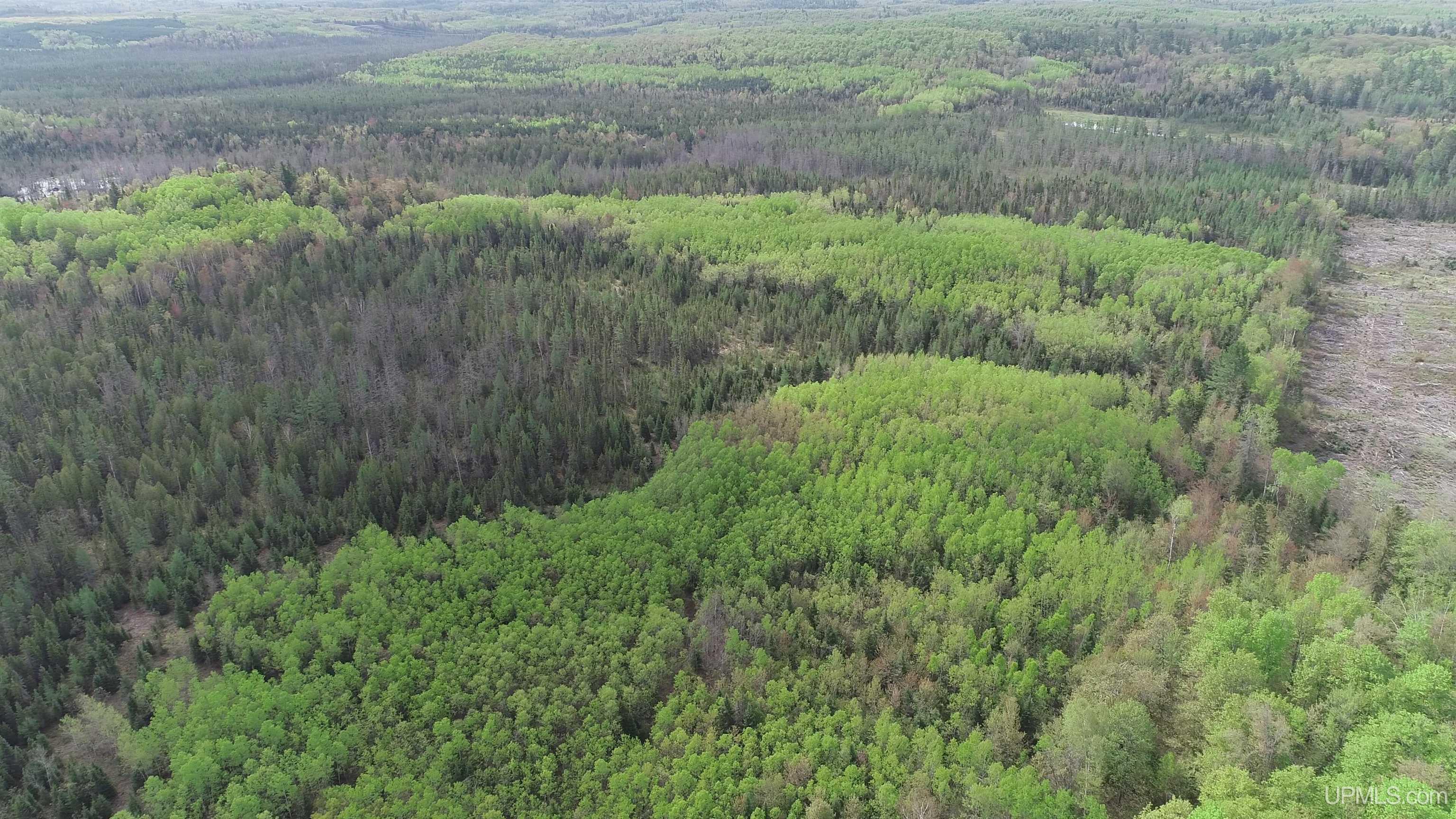 280-acres County Road CCN Road Negaunee, MI 49866 - Photo 45 of 48