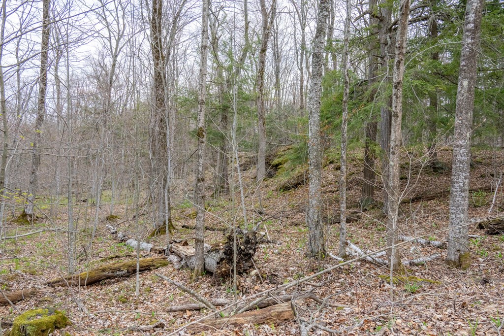 Lot 2 Cottage Road Ellison Bay, WI 54210 - Photo 17 of 30
