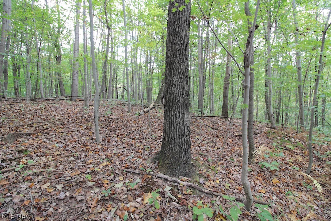 8820 Euga Road Newcomerstown, OH 43832 - Photo 23 of 35 Gallery Image 23