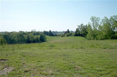 230 Breck Road Owenton, KY 40359 - Photo 7 of 8 Gallery Image 7