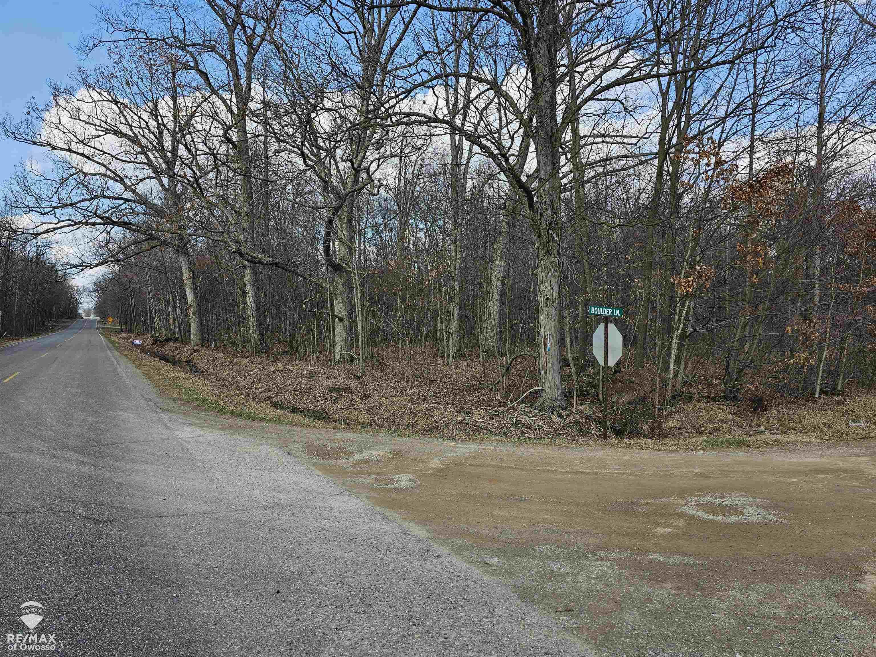 Boulder Lane Perry, MI 48872 - Photo 9 of 18