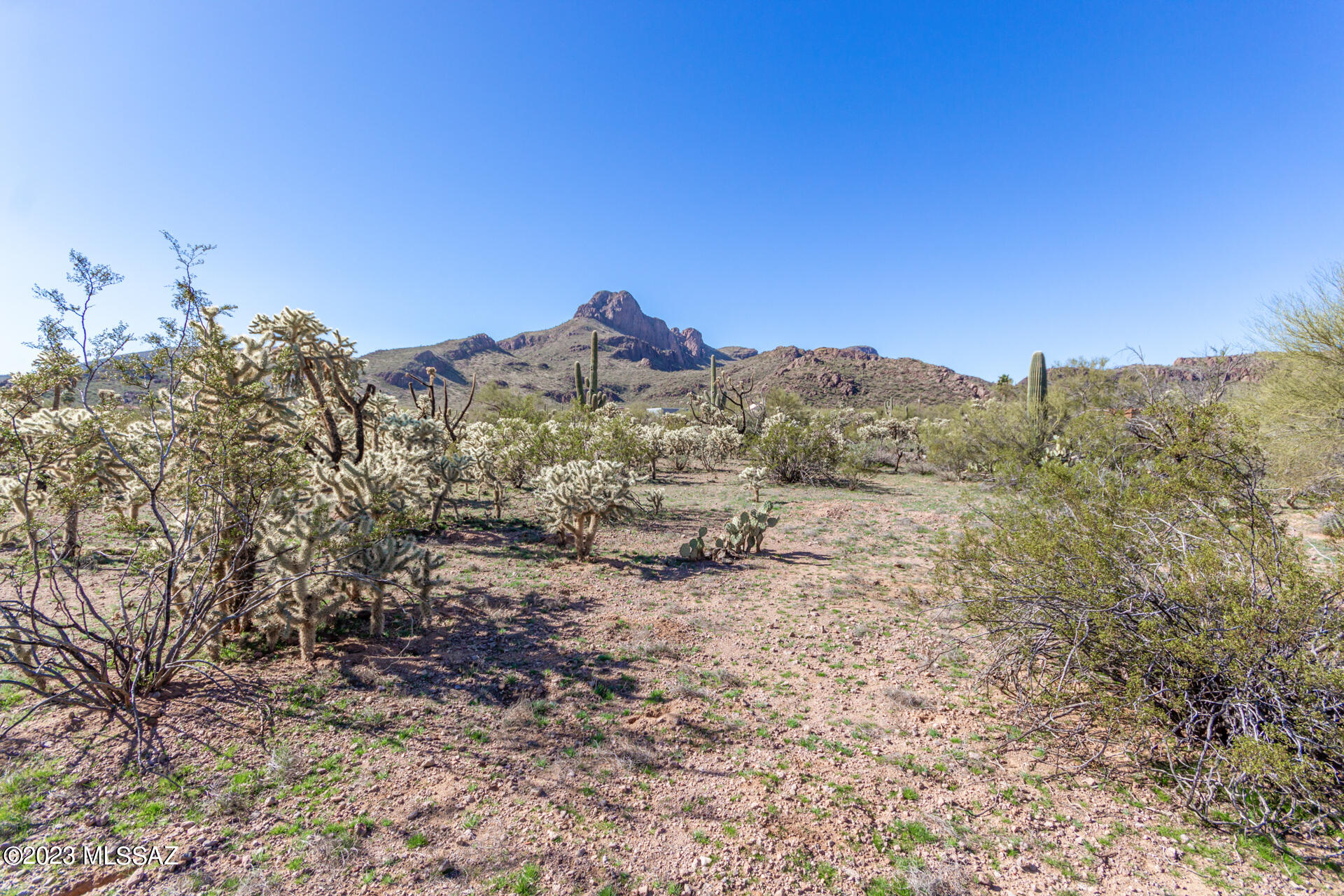 8121 West Pima Farms Road Tucson, AZ 85743 - Photo 6 of 32 Gallery Image 6