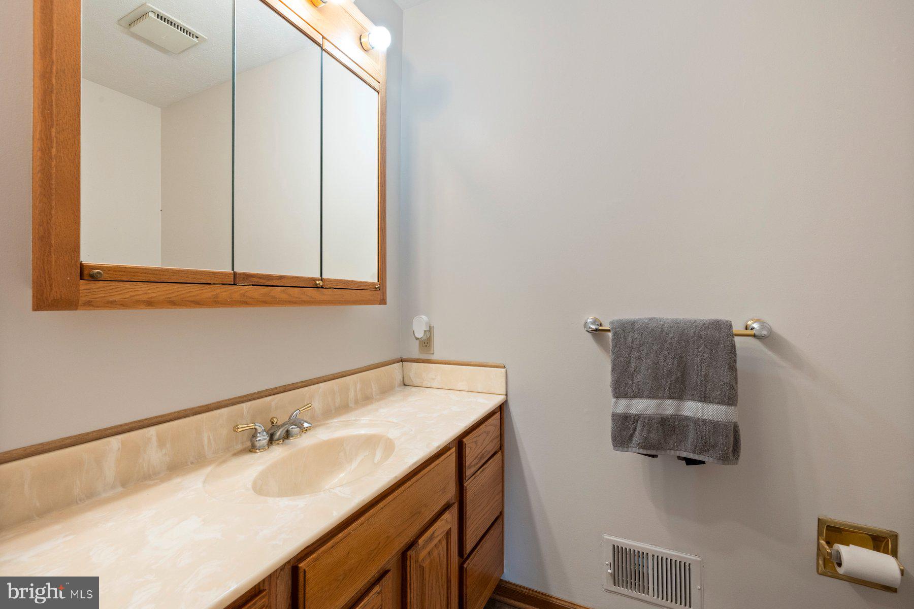 5130 Perry Road Mount Airy, MD 21771 - Photo 13 of 46 a bathroom with a sink and a mirror