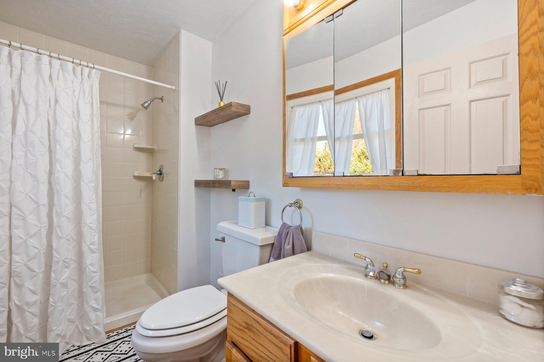 5130 Perry Road Mount Airy, MD 21771 - Photo 19 of 46 a bathroom with a sink toilet and shower