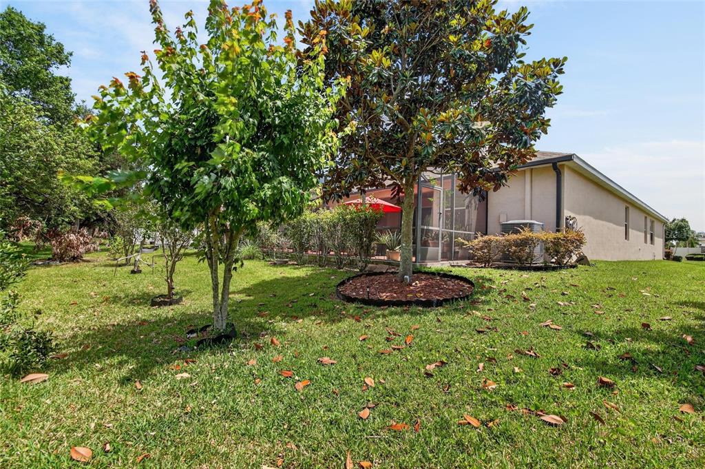 10232 Holland Road Riverview, FL 33578 - Photo 56 of 62