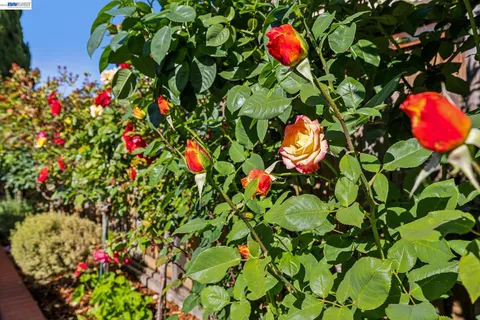 $1,699,000 | 4515 Arce Street, Union City, CA 94587