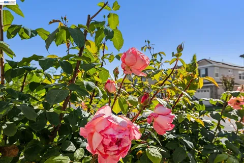 $1,699,000 | 4515 Arce Street, Union City, CA 94587