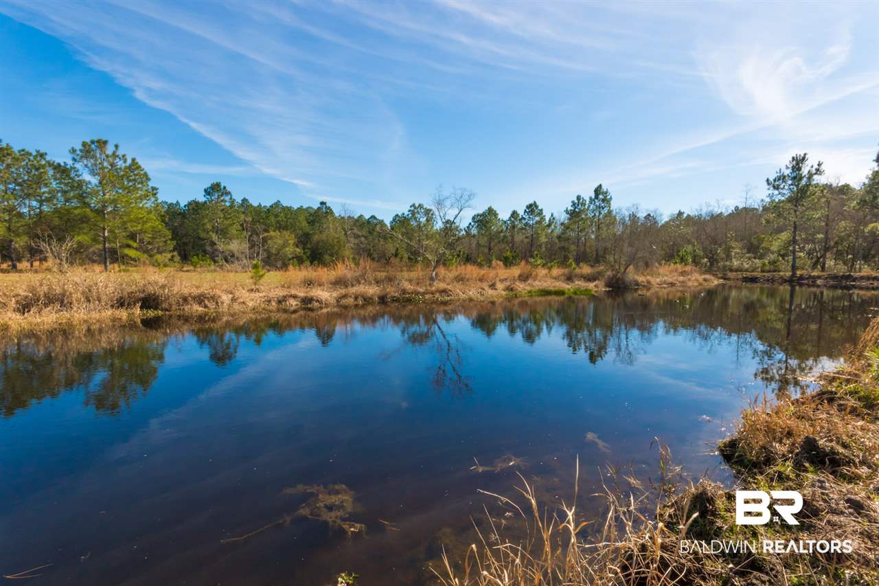 21801 County Road 28 Foley, AL 36535 - Photo 16 of 41