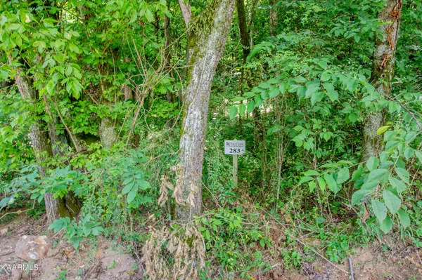 $79,900 | 4485 Huffine Road, Loudon, TN 37774