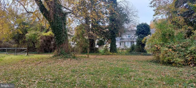 a view of a field with trees