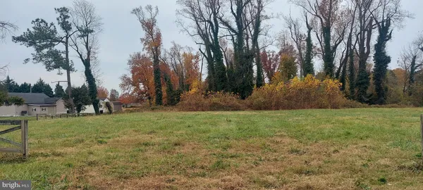 a view of a tree in the middle of a yard