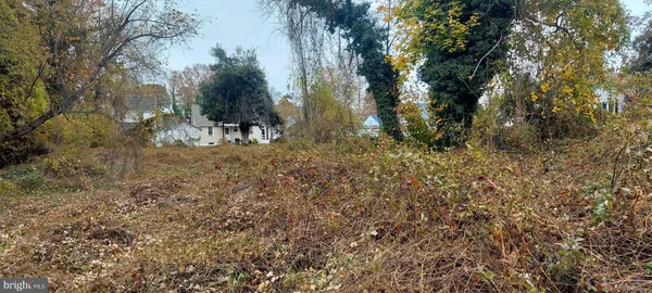 a car parked on the side of the road