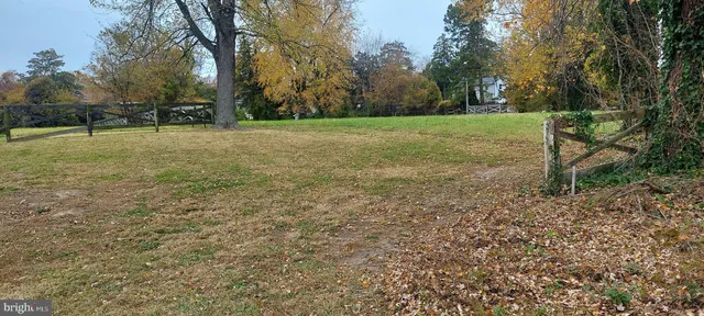 a view of a field with trees in the background