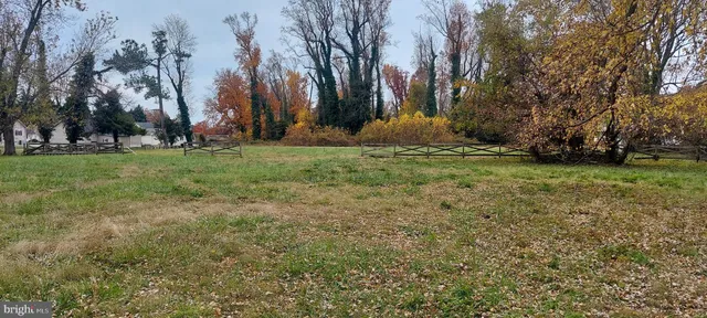 a view of a backyard with large trees